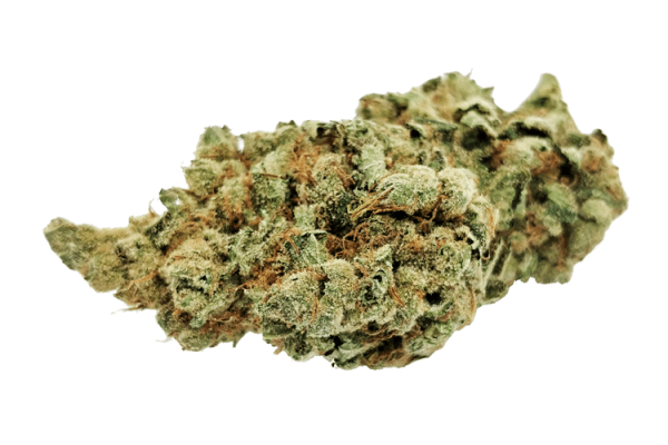 Order Golden Goat strain online