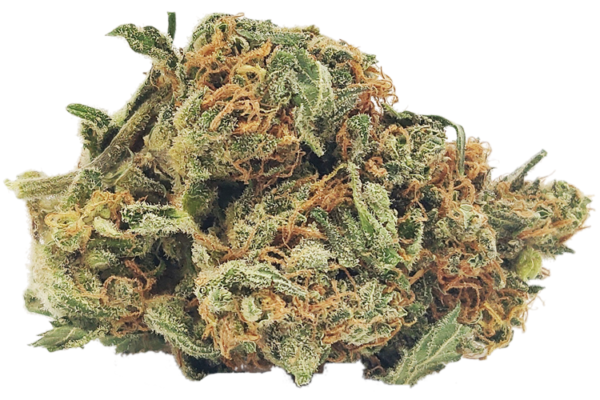 buy Small White Widow strain online