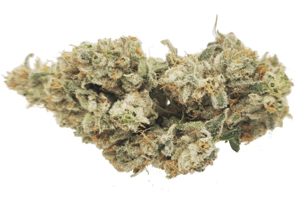 wedding cake strain online canada, exotic strains