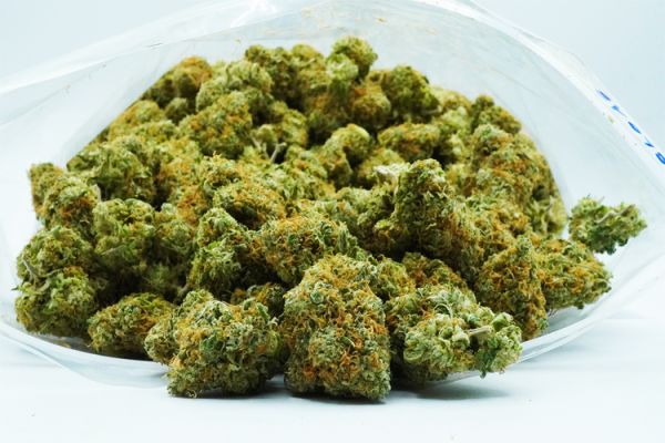 Papaya strain