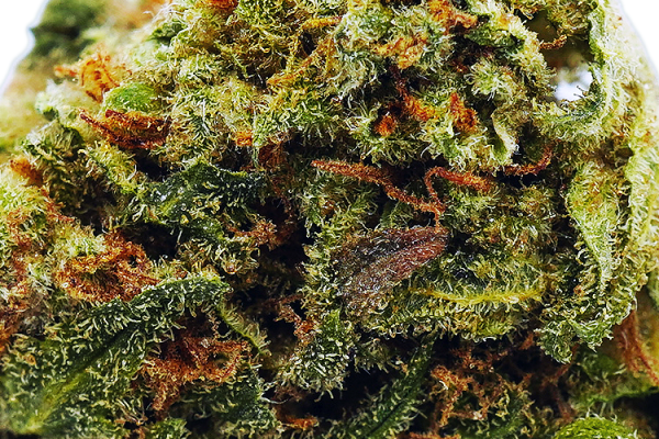 Pineapple Express weed